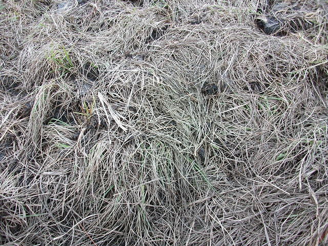 DSCF0304.JPG