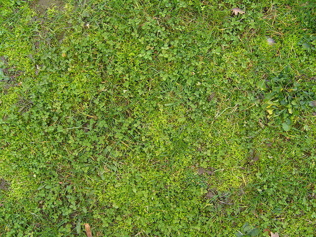 S7002876.JPG