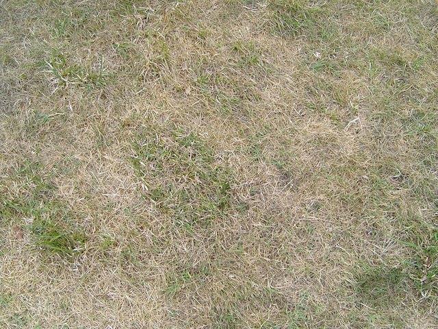 TT7001797.JPG