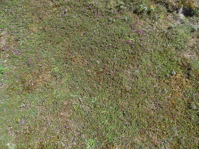 TT 00684