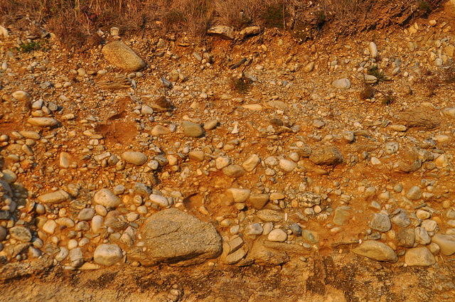 TT1_0122.JPG