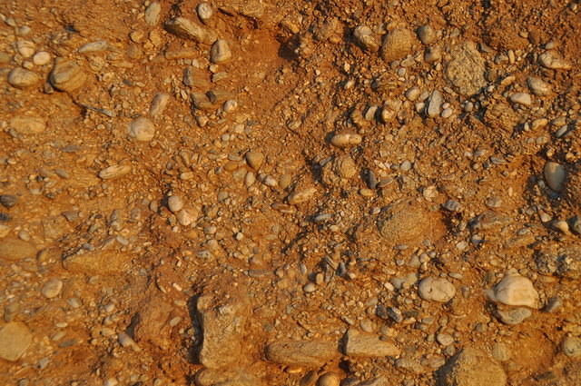 TT1_0125.JPG