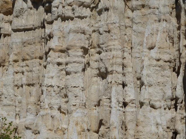 TT DSC02465