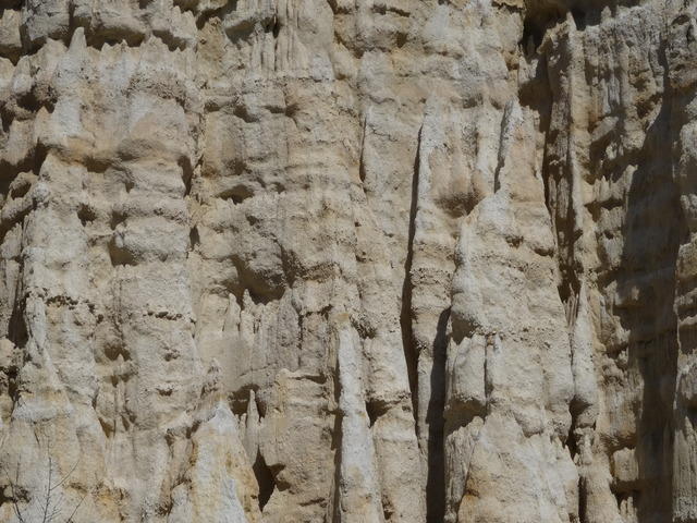 TT DSC02501
