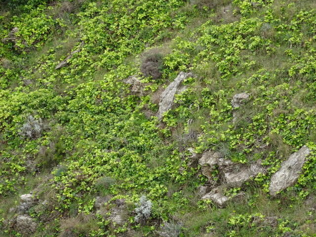 DSC00948