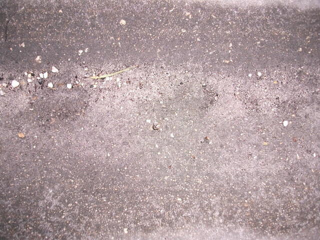 DSCF0198.JPG