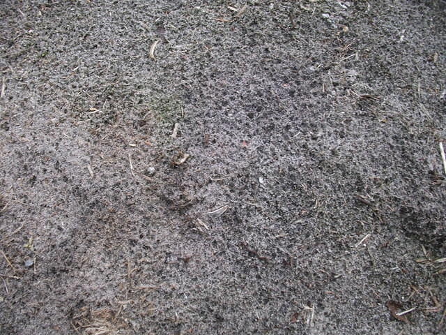 DSCF0468.JPG