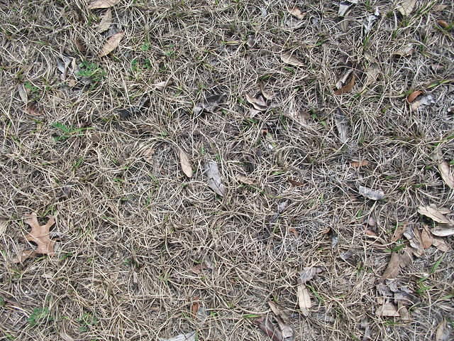 DSCF0534.JPG