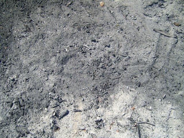 TT7000850.JPG