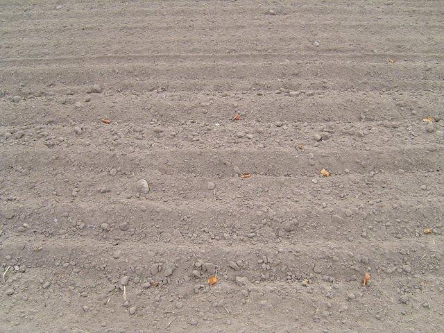 TT7020292.JPG