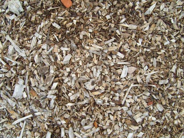 shredderd_wood_TT7010051.JPG