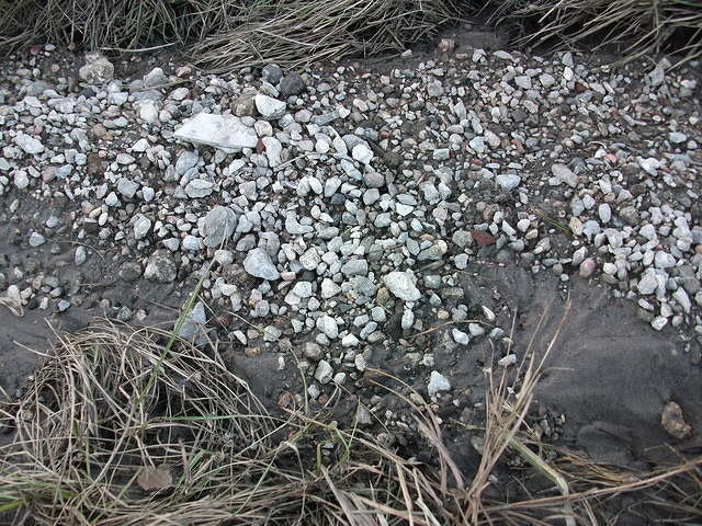 DSCF0313.JPG