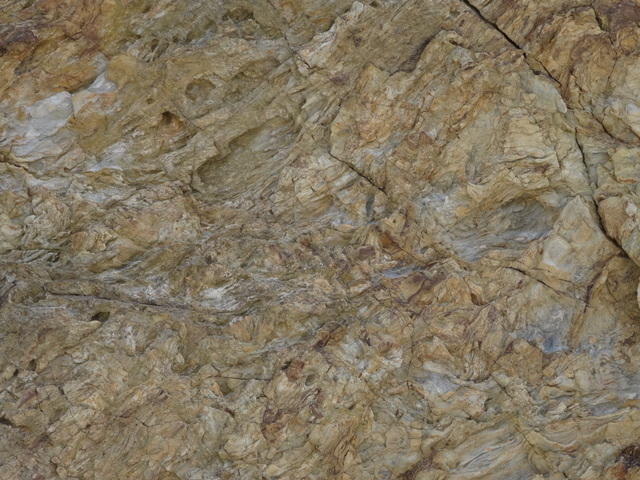 DSC00834