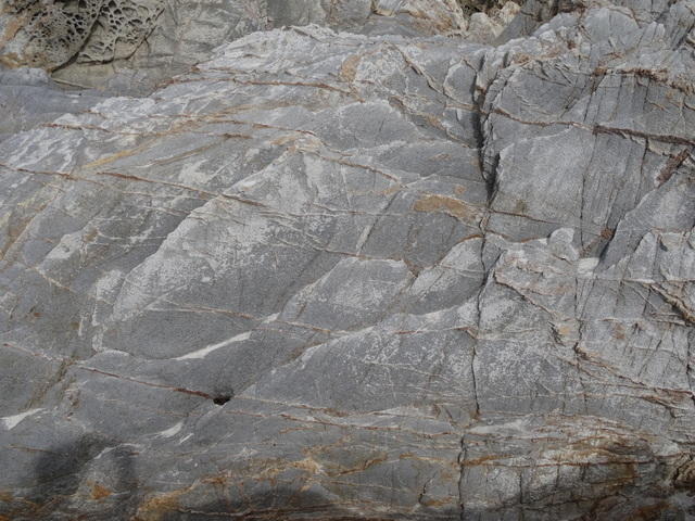 DSC00841
