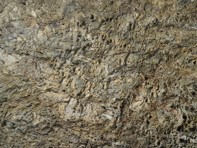 DSC00858
