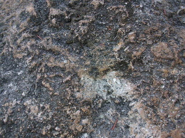 DSCF0316.JPG