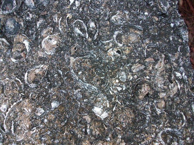 DSCF0319.JPG