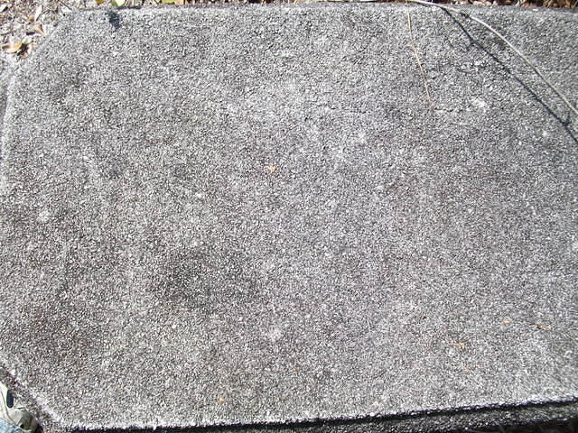 DSCF0609.JPG