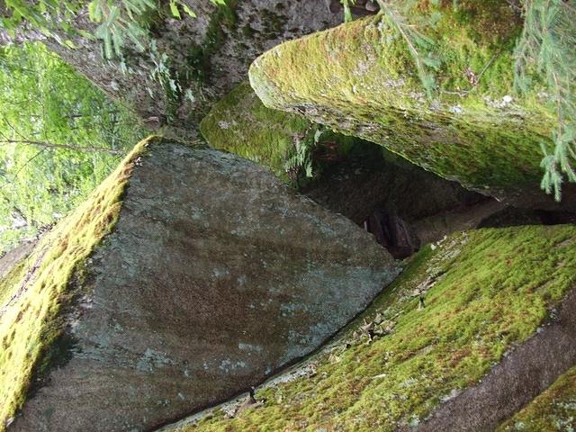 Mossy rock