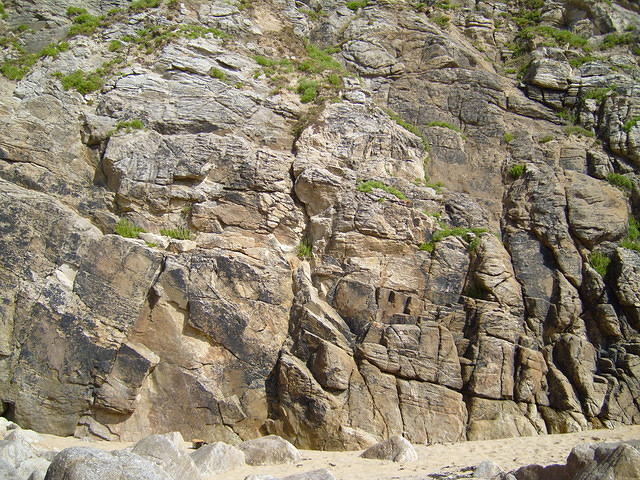 TT003487.JPG