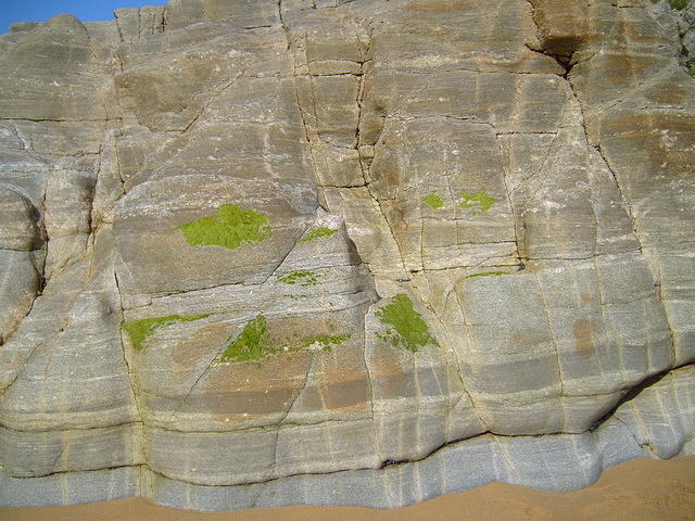 TT003494.JPG