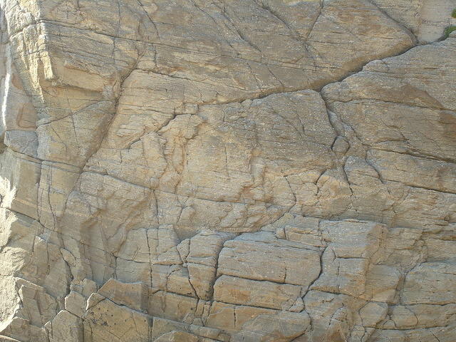 TT003497.JPG