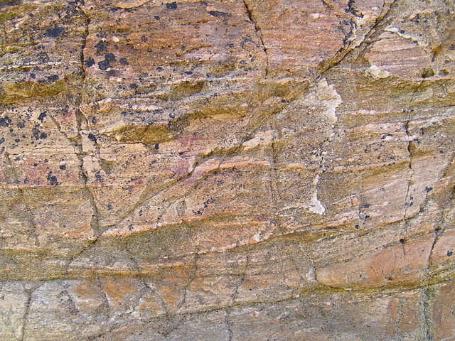 TT003501.JPG