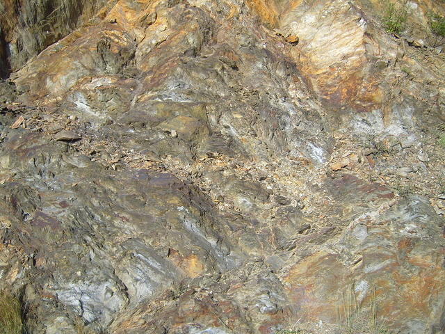 TT004163.JPG
