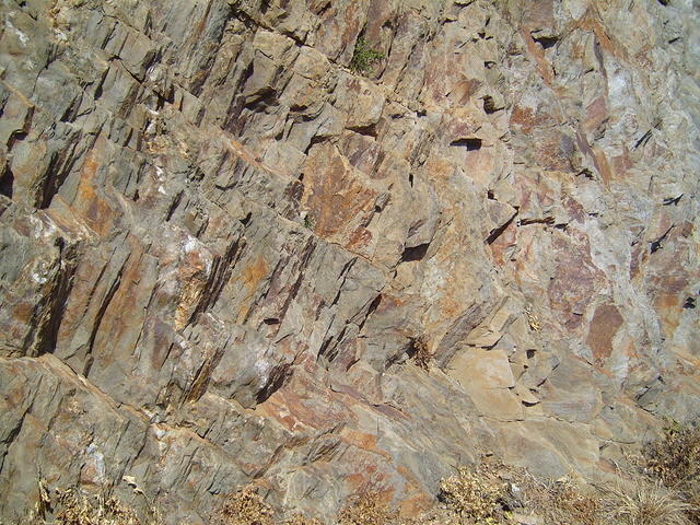 TT004191.JPG