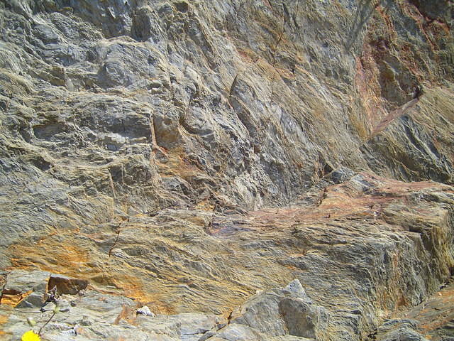 TT004196.JPG