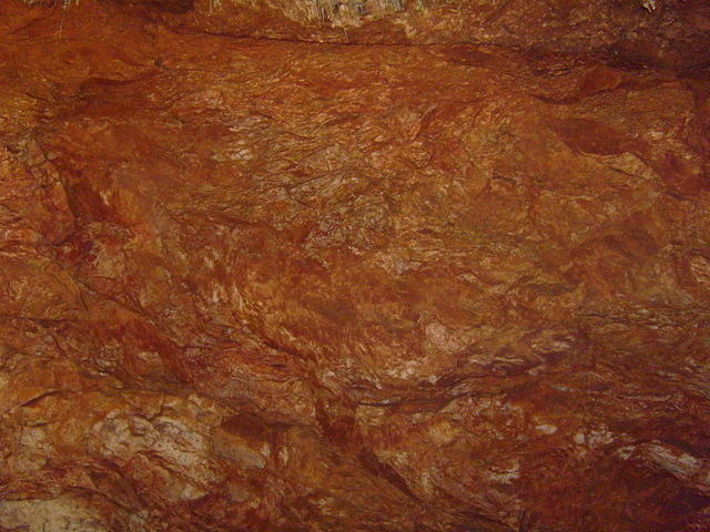 TT004335.JPG
