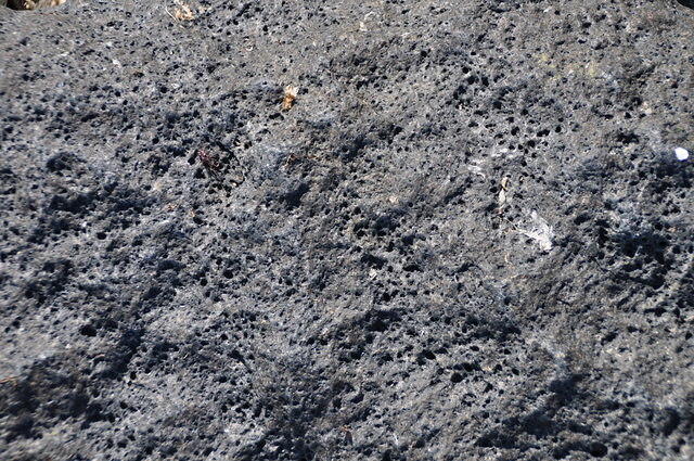 TT1_0167.JPG