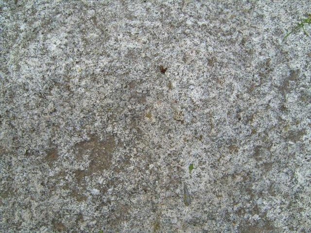 TT7020373.JPG