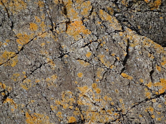 TT 01340