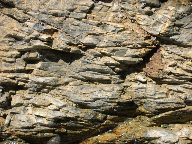 Rock Texture