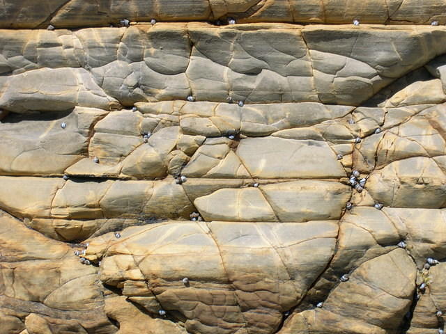 Rock Texture