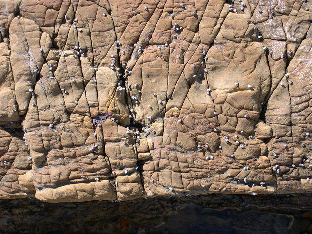 Rock Texture