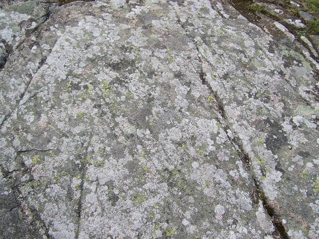 Rock
