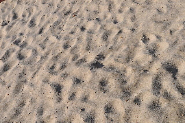DSC_2065.JPG