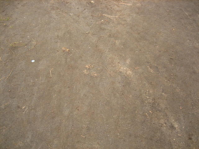 Dirt
