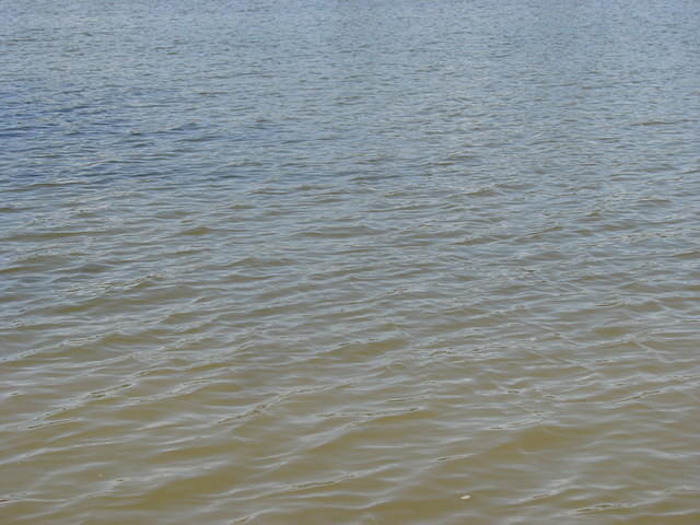 4-29-07 Jacobson Park 028.jpg