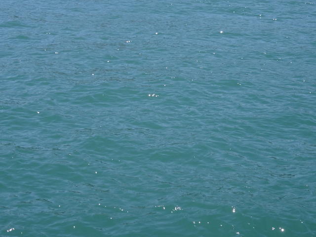 DSC06450