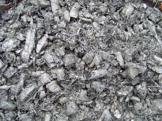 TT7001707.JPG