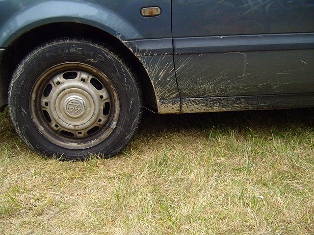 TT7001842.JPG