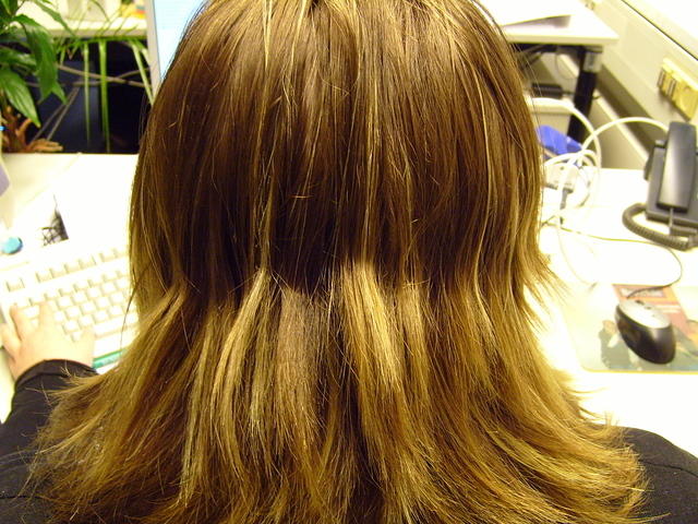 TT7040784.JPG