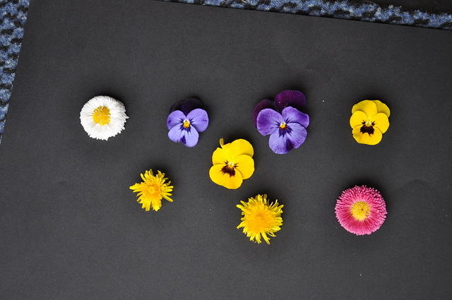 many_flowers.jpg