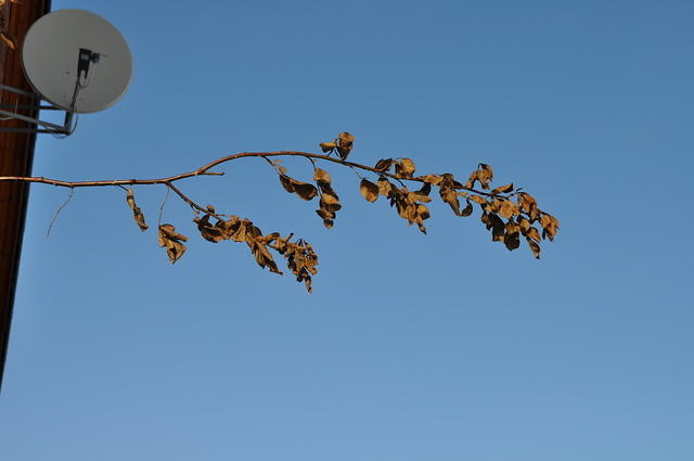 DSC_0404.JPG