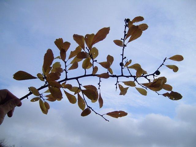 TT7040063.JPG