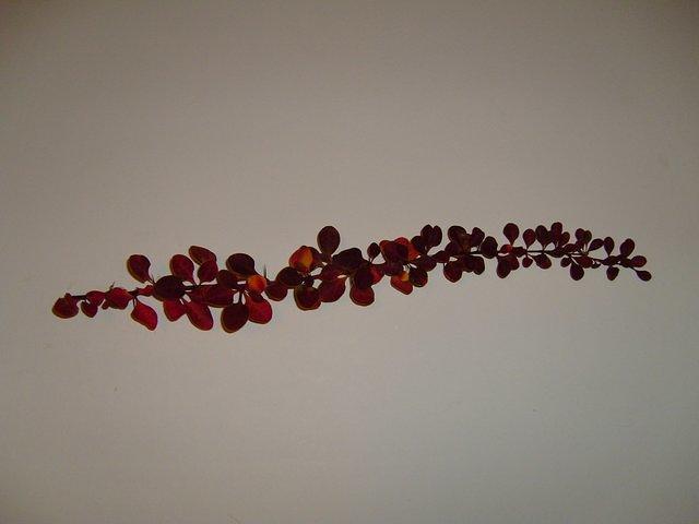TT7040613.JPG