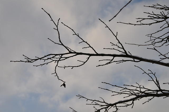 DSC_0149.JPG